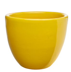 Yellow Pot